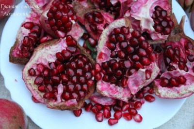 Punica granatum8 - 